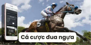 Tìm Hiểu Chi Tiết Cá Cược Đua Ngựa ManClub Với Luật Chơi Và Cách Dự Đoán Chuẩn Xác