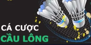Cách Chơi Cá Cược Cầu Lông ManClub Chi Tiết Luật Và Mẹo Thắng Lớn