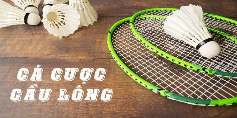 Cách Chơi Cá Cược Cầu Lông ManClub Chi Tiết Luật Và Mẹo Thắng Lớn